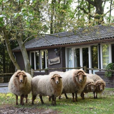 Relatieweekend: er even samen op uit om aan je relatie te werken in Den Bosch